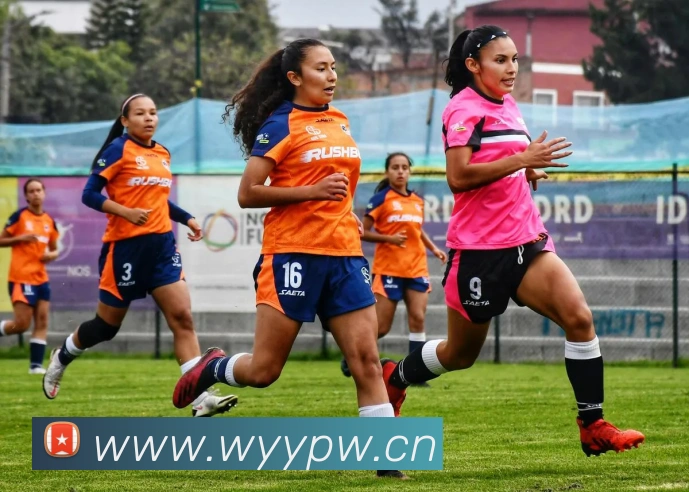 半岛官网地址品牌故事