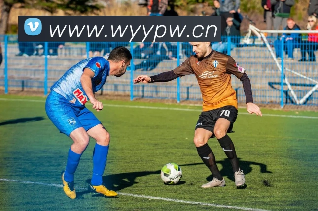 半岛官网地址服务体系